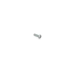 Toro 3290-133 Screw - TOR 3290-133