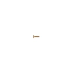 Toro 3290-134 Screw - TOR 3290-134