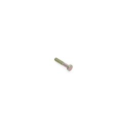 Toro 33113-030 Hex Head Screw 