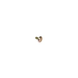 Toro 33123-016 Carriage Screw 