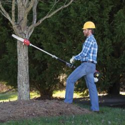 Honda SSPP VersAttach Pole Pruner Attachment w/ 12" Bar - HON SSPP