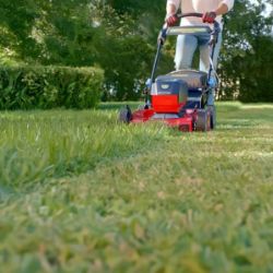 Toro 21466 22" 60V MAX Recycler Personal-Pace Self-Propelled Lawn Mower w/ 6.0Ah Battery & Charger - TOR 21466