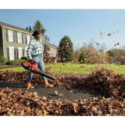 Toro 51822 60V MAX 157 mph Brushless Leaf Blower w/ 4.0Ah Battery & Charger - TOR 51822