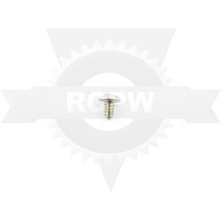 Walbro 96-207-7 4-40 X .187" Screw 