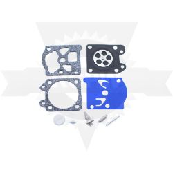 Walbro K26-WAT Repair Kit 