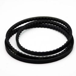 Worldlawn 633061 Hydro Belt 