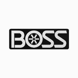 BOSS MSC03413 RT3 Pushbeam Logo Decal 