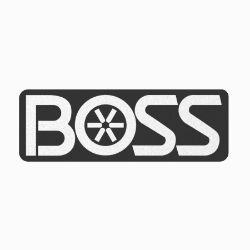 BOSS MSC03452 RTII/Sport Pushbeam Logo Decal 