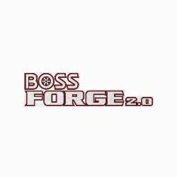 BOSS MSC17223 VBS Forge 2.0 Hopper Logo Decal 
