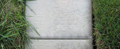 How Often Should My Lawn Be Edged?